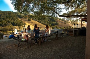 Nicasio Valley