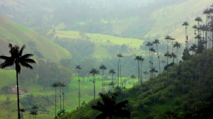 DSC00333