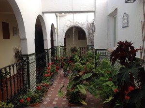 la foto 1