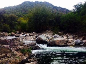 image-2016-06-15(2)