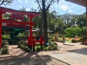 jardin japones en Buenos Aires