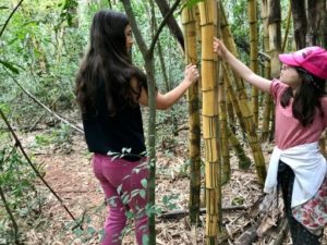 Recorriendo un sendero de selva en la Estancia Santa Inés