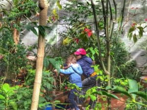 parque temático de la cruz-cerro Santa Ana-mariposario